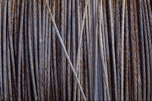 529049 Wire A4 Photo Print
