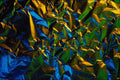 529059 Tinfoil, Lit By Color Lamps A4 Photo Print