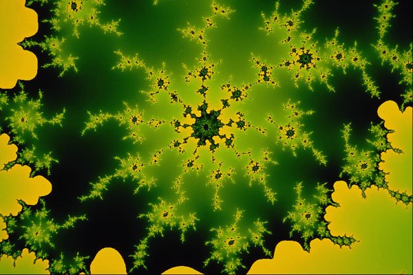 529064 Green Fractal A4 Photo Print