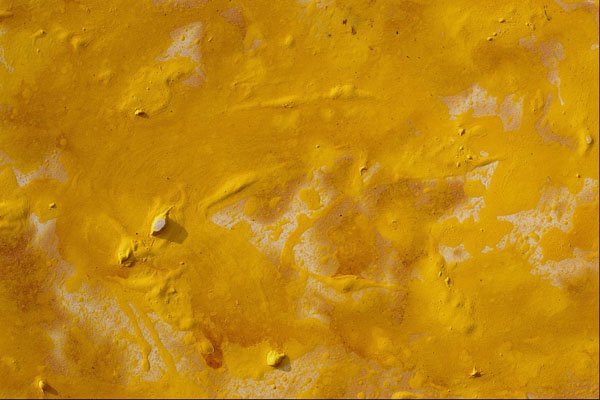 529076 Scrambled Eggs A4 Photo Print