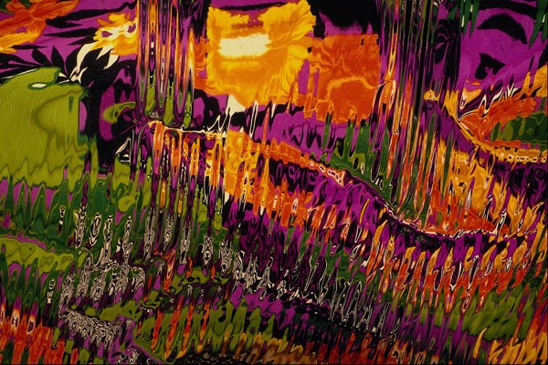529093 Magic Garden A4 Photo Print