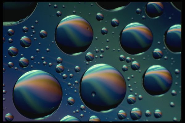 530002 Water Droplets On Glass A4 Photo Print