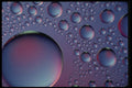 530004 Water Droplets On Glass A4 Photo Print