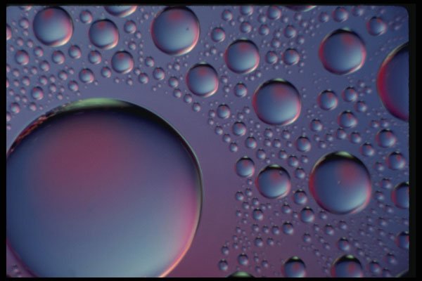 530004 Water Droplets On Glass A4 Photo Print