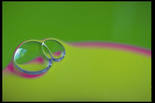 530034 Bubbles On Yellow And Green A4 Photo Print