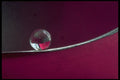 530037 Marble On Metal Rim A4 Photo Print