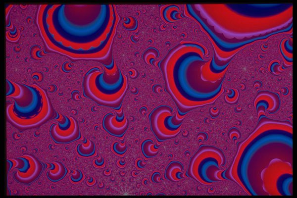 530050 Red And Blue Peacock Tail A4 Photo Print