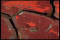 530061 Cracked A4 Photo Print