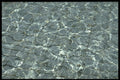 530072 Surface Reflections A4 Photo Print
