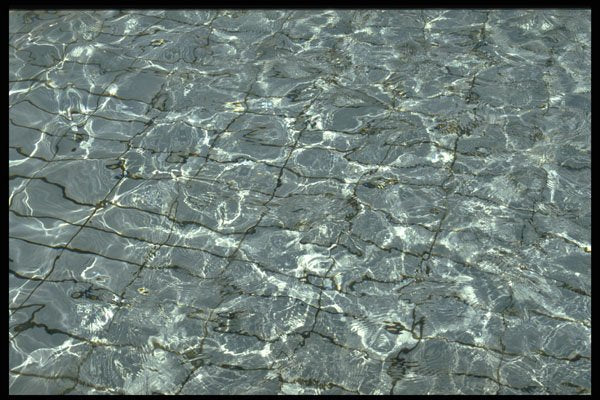530072 Surface Reflections A4 Photo Print