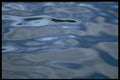 530074 Calm Water Slow A4 Photo Print