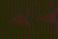 530092 Spider Design A4 Photo Print