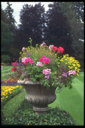 531001 Urn And Flowers, Victoria A4 Photo Print
