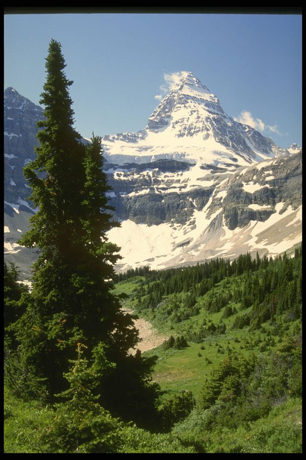531004 Mt. Assiniboine, Assiniboine Provincial Park A4 Photo Print