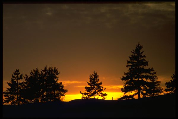531011 West Coast Sunrise A4 Photo Print