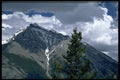 531020 Back To Nature A4 Photo Print