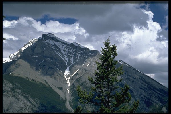 531020 Back To Nature A4 Photo Print