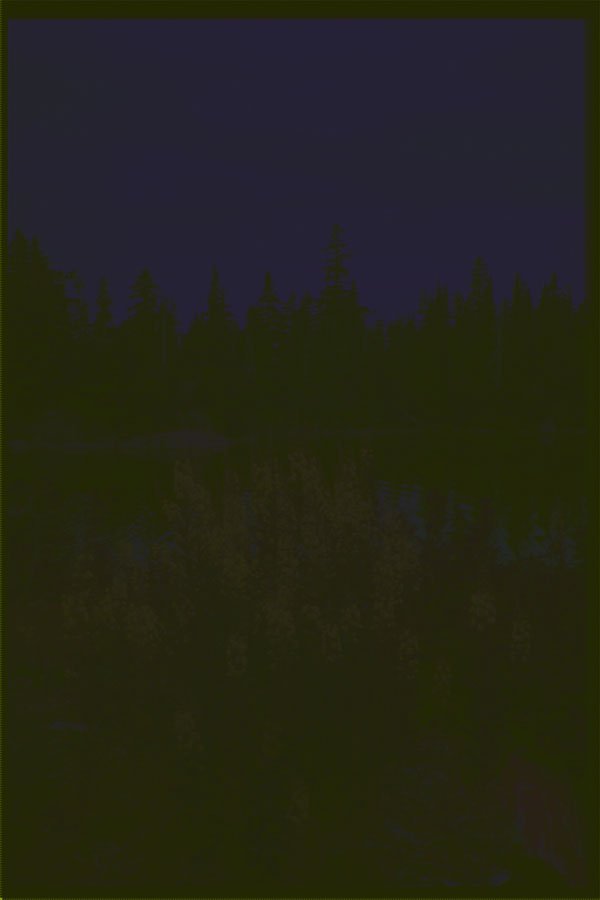 531042 Fireweed, Lake Vancouver A4 Photo Print