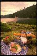 531059 Picnic On Quadra Island A4 Photo Print