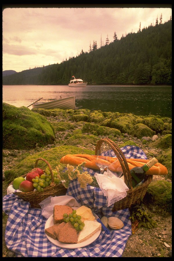 531059 Picnic On Quadra Island A4 Photo Print