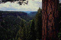 531062 Chasm Provincial Park A4 Photo Print