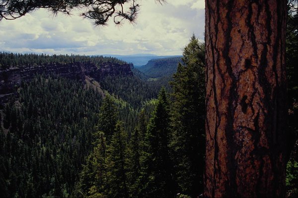 531062 Chasm Provincial Park A4 Photo Print
