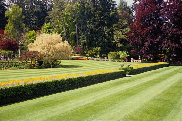 531083 Buchart Gardens, Victoria A4 Photo Print