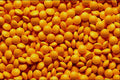 532008 Bisacodyl Tablets 5 Mg A4 Photo Print