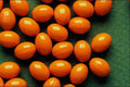 532009 Oxyzine HCI 10 Mg Capsules A4 Photo Print