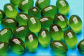 532040 Chloral Hydrate Capsules A4 Photo Print