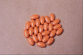 532044 ASA 300 Mg A4 Photo Print
