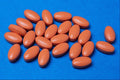532058 ASA 300 Mg A4 Photo Print