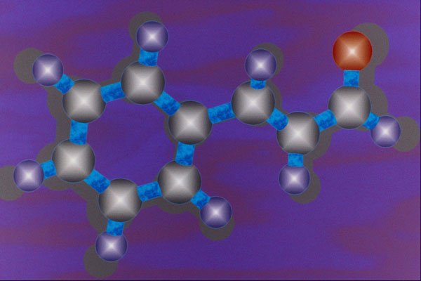 533002 Cinnamaldehyde A4 Photo Print