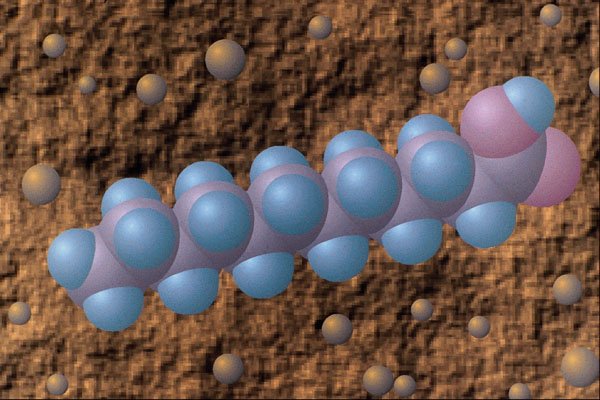 533005 Lauric Acid A4 Photo Print