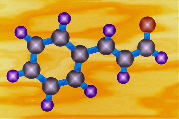 533012 Cinnamaldehyde A4 Photo Print