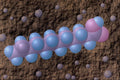 533023 Lauric Acid A4 Photo Print