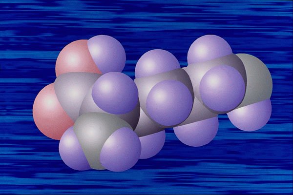 533026 Lysine A4 Photo Print