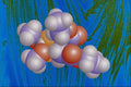 533027 Malathion A4 Photo Print