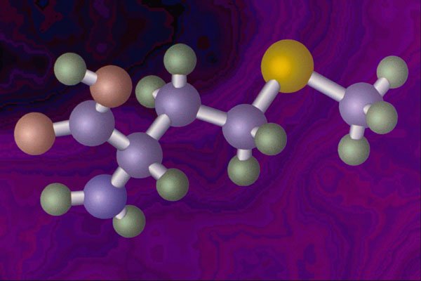 533031 Methionine A4 Photo Print