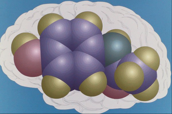 533044 Acetaminophen A4 Photo Print
