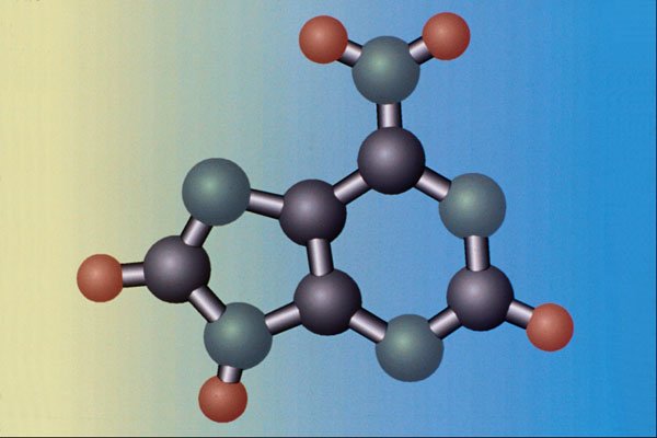 533047 Adenine A4 Photo Print