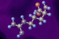 533050 Arginine A4 Photo Print