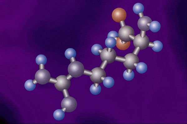 533050 Arginine A4 Photo Print