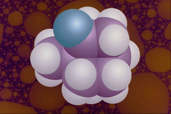 533055 Camphor A4 Photo Print