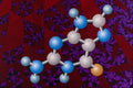 533068 Guanine A4 Photo Print