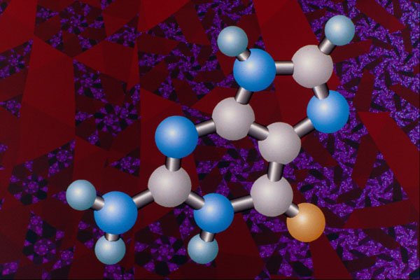 533068 Guanine A4 Photo Print