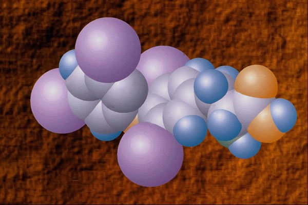 533091 Thyroxine A4 Photo Print