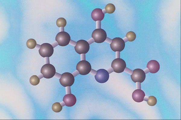 533099 Xanthurenic Acid A4 Photo Print