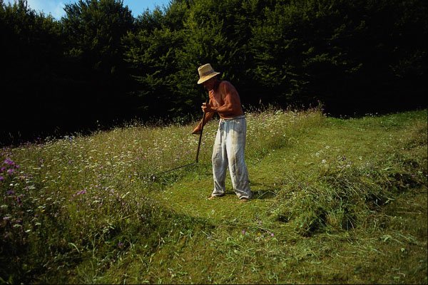 534080 Farmer Scything Grass, Romania A4 Photo Print