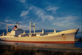 535003 PORT CHALMERS, British Port Line Cargo Vessel A4 Photo Print